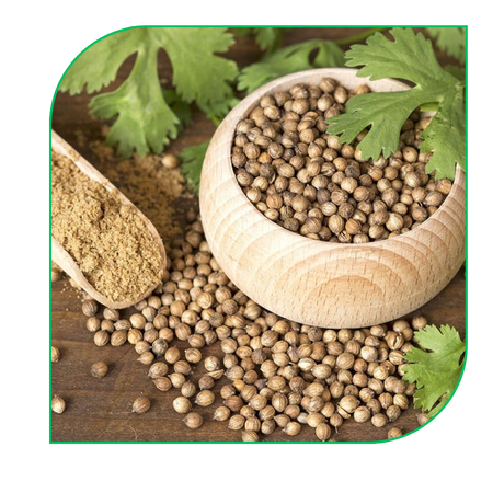 Coriander Seeds:
