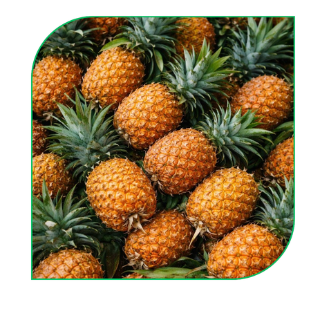 Pineapple: MD2