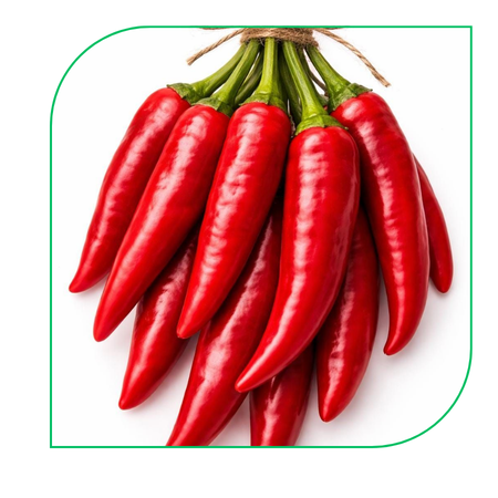 Chili Pepper