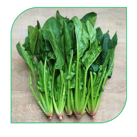 Spinach