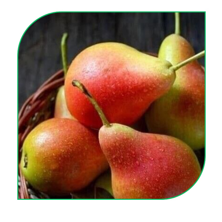 Pear: Bartlett, Packham, Anjou