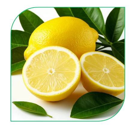 Lemon: Eureka, Lisbon