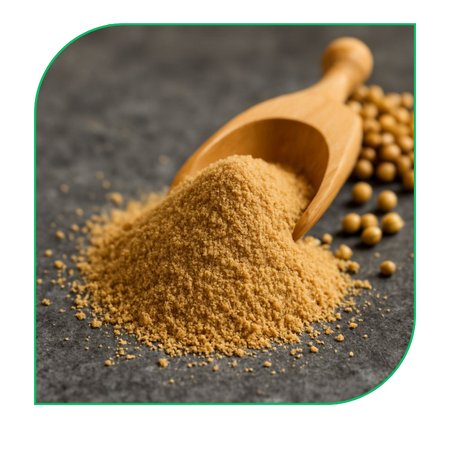 Coriander Powder
