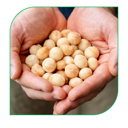 Macadamia Nuts