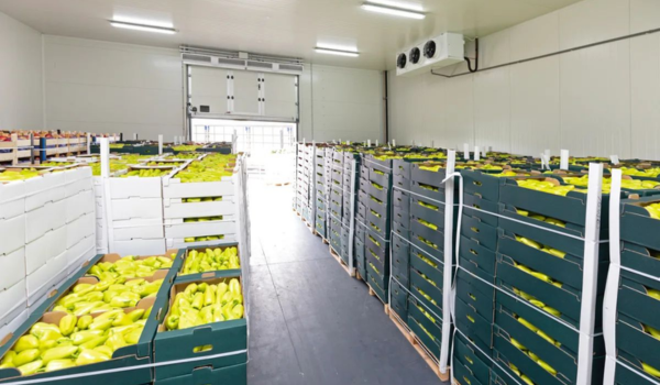Cold Chain Management
