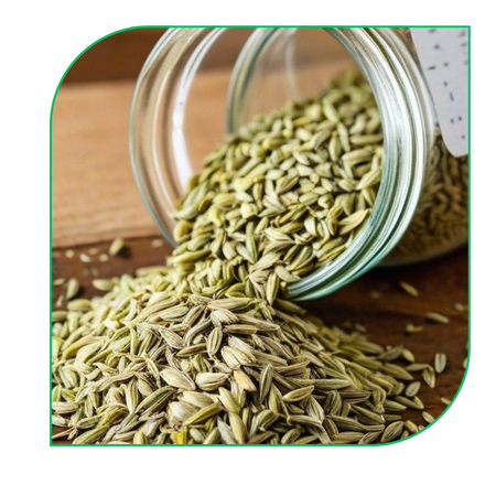 Fennel Seeds